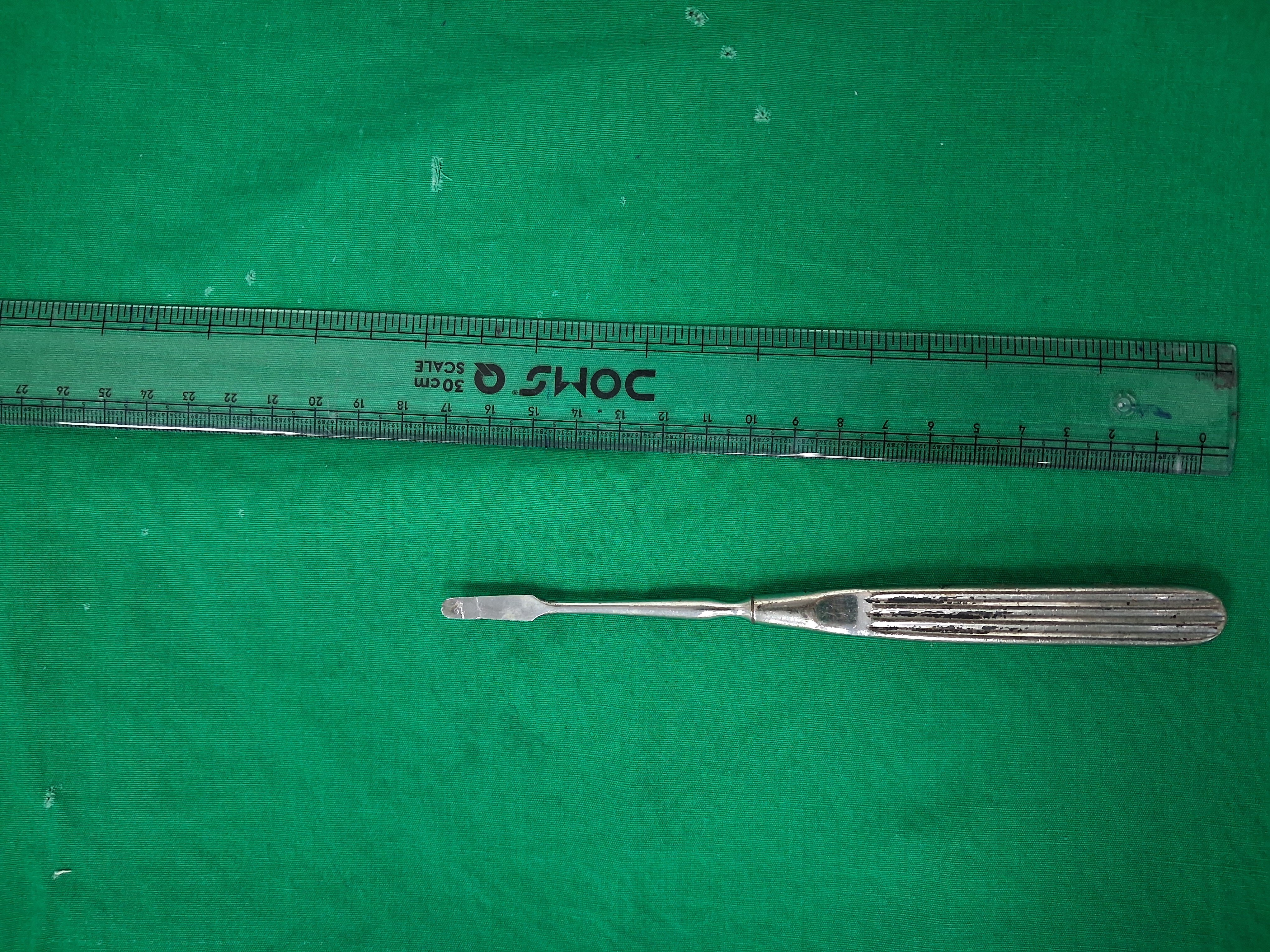 Thomson Dissector
